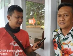 Sejumlah Pejabat Eselon 2 Bakal Dimutasi, BKPSDM Bone: Kita Harapkan Bulan Ini