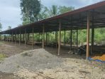 Pokir Ratusan Juta Terbengkalai, Kadis Peternakan: Kalau Tidak Dilaksanakan, Teriak-teriak