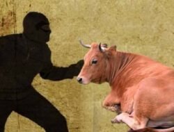 Warga Laporkan Perampasan Sapi, Diduga Libatkan Oknum Polisi