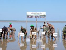 Banyak Manfaat, Kodim 1407 Bone Laksanakan Tanam Mangrove Serentak