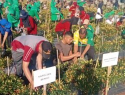 Kadis TPHP Ajak Warga Manfaatkan Lahan Tidur, Tanam Sayur dan Buah