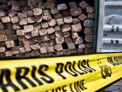 Kasus Illegal Logging, Kades Rappa Dijatuhi Sanksi Administratif