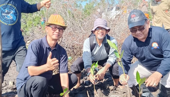 Selamatkan Lingkungan, PWM dan MLH PWM Kompak Lakukan Aksi Tanam Mangrove