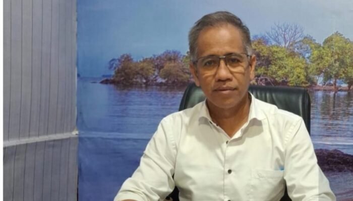 Mulai Terkuak, Kominfo Bone Klarifikasi Keberadaan Anggota Satpol PP di Magelang