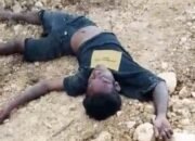 Tragis, Sopir Truk Luka Berat Usai Dianiaya di Tambang Lampoko