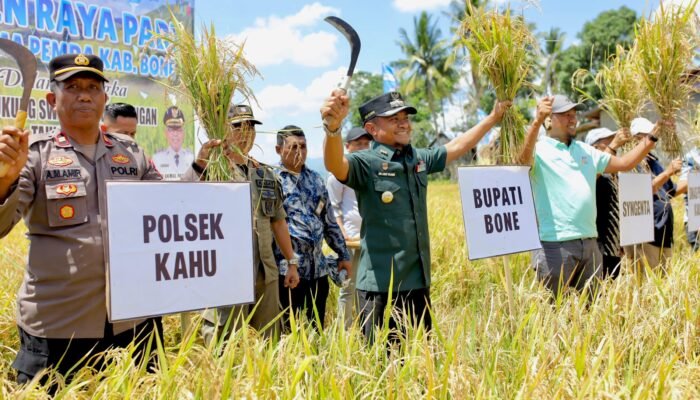 Bone Panen Raya! Bupati Andi Asman Janji Jalan Rusak Segera Mulus