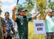 Hari Tani Nasional, Bupati Bone Puji Petani Pahlawan Pangan
