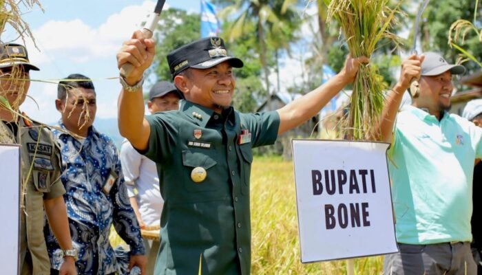 Hari Tani Nasional, Bupati Bone Puji Petani Pahlawan Pangan