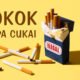 Rokok Tanpa Cukai Kuasai Pasar, Satpol PP Bone Bereaksi