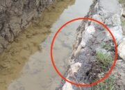 Dinas SDA Bone Klarifikasi Dugaan Proyek Irigasi Corawali Tak Sesuai Spektek