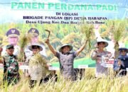 Bone Panen Prestasi, AAS Jadi Arsitek Kebangkitan Pertanian Daerah