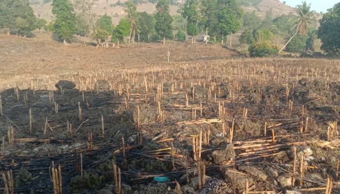 Warga Tajong Dipanggil Polres, Sengketa Tanah Kian Memanas