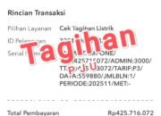 10 IDPEL PJU di Bone Telan Rp1,24 Miliar, Diduga Tetap Dibayar Meski Lampu Padam
