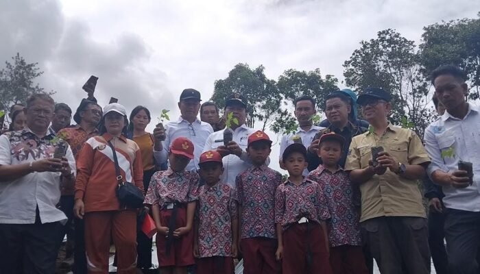 Bupati Mamasa Gagas Revolusi Pangan: 2.000 Pepaya California Ditanam di Desa Salubulo