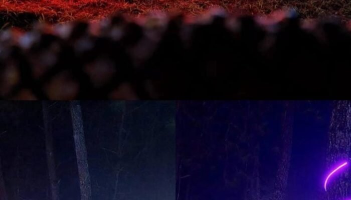 Kampung Natal Tondok Bakaru Dibuka, Putaran Ekonomi Desa Makin Bergairah