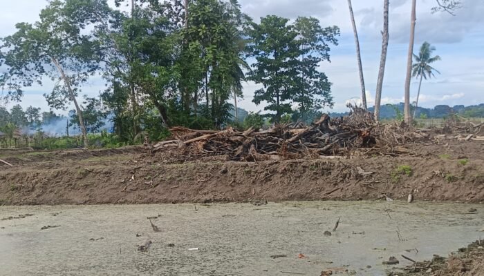 Tender dan Anggaran Cetak Sawah di Bone Misterius