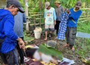 Warga Sibulue Digegerkan Penemuan Mayat Pria 64 Tahun di Kebun