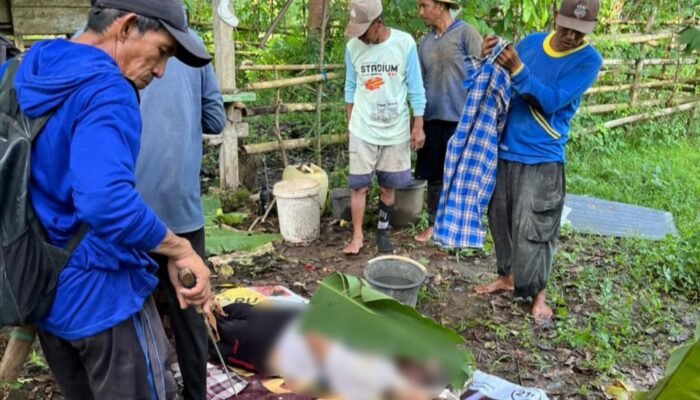 Warga Sibulue Digegerkan Penemuan Mayat Pria 64 Tahun di Kebun