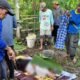 Warga Sibulue Digegerkan Penemuan Mayat Pria 64 Tahun di Kebun
