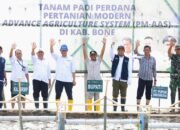 Bone Perkuat Posisi Lumbung Pangan Lewat PM-ASS