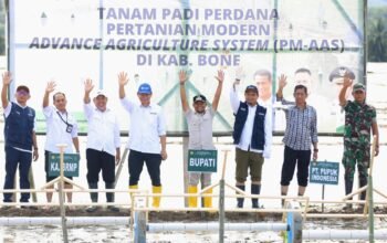 Bone Perkuat Posisi Lumbung Pangan Lewat PM-ASS