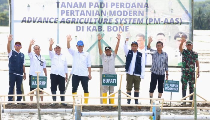 Bone Perkuat Posisi Lumbung Pangan Lewat PM-ASS
