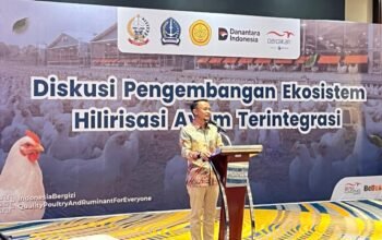 Bone Diminta Sediakan Lahan untuk Program Sapi Perah