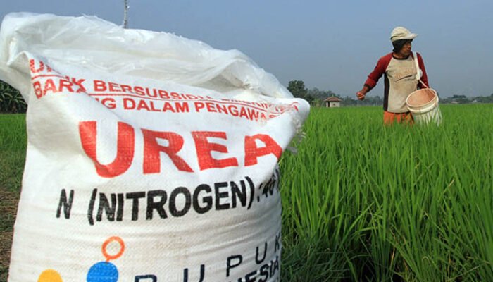 Pupuk Subsidi Sulit, Harga Mencekik