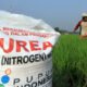Pupuk Subsidi Sulit, Harga Mencekik