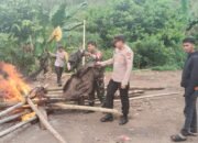 Diduga Jadi Titik Sabung Ayam, Lokasi di Gattungeng Disisir Aparat