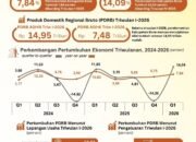 BPS: Ekonomi Bone Tumbuh 7,84 Persen