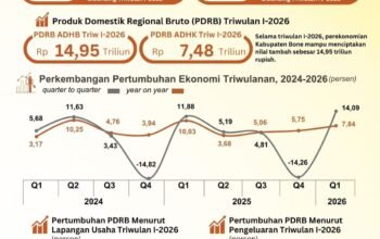 BPS: Ekonomi Bone Tumbuh 7,84 Persen
