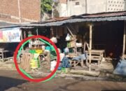 SPHP Bocor ke Pedagang Nonmitra, Bulog Telusuri Sumber Pasokan