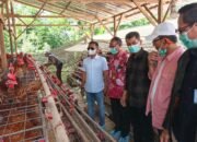 Bupati Bone Pelajari Hilirisasi Ayam Terintegrasi di Bangli