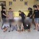 JU Diduga Penadah Kasus Pencurian Aset PLN Bernilai Miliaran Tak Ditahan