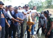 Bupati Bone Salurkan 8.000 Benih Ikan di Libureng