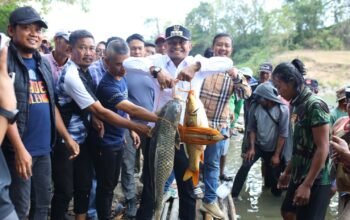 Bupati Bone Salurkan 8.000 Benih Ikan di Libureng