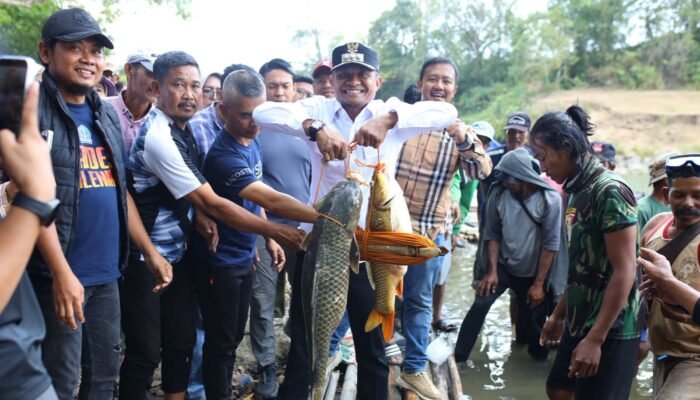 Bupati Bone Salurkan 8.000 Benih Ikan di Libureng