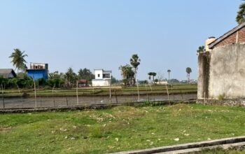 Sawah Potensial di Kampung Mentan Ditimbun Pengembang