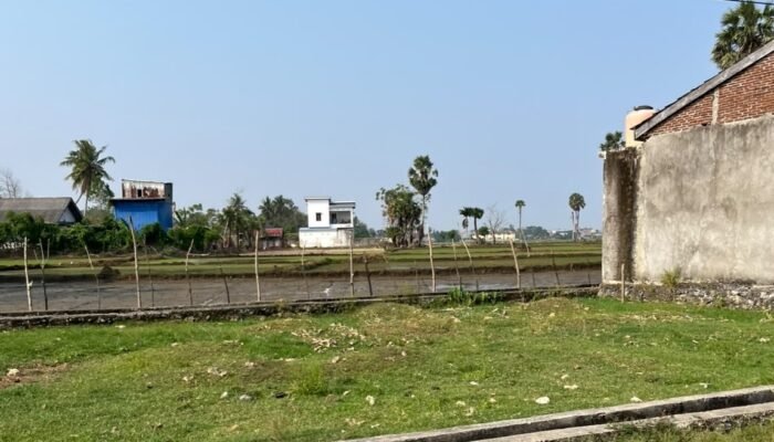 Sawah Potensial di Kampung Mentan Ditimbun Pengembang